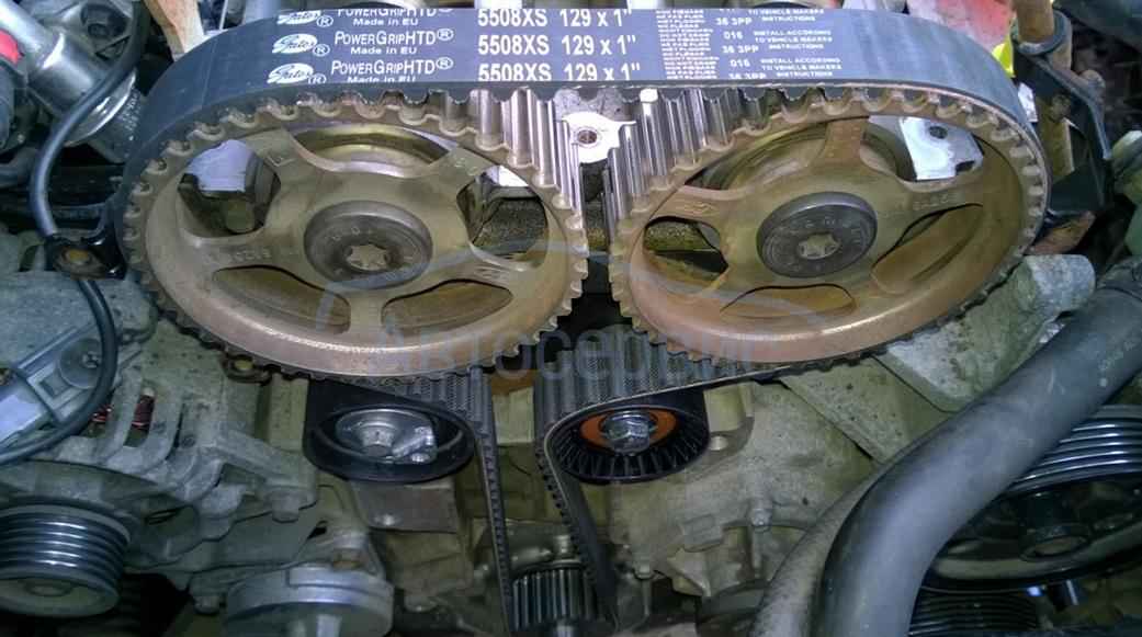 Замена ремня ГРМ Форд Фокус